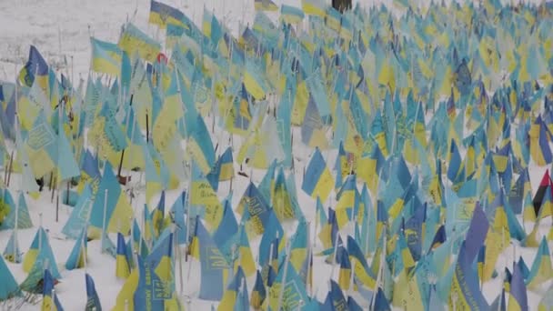 Μια Καλλιτεχνική Σκηνή Από Μπλε Και Κίτρινες Σημαίες Κυματίζει Στο — Αρχείο Βίντεο