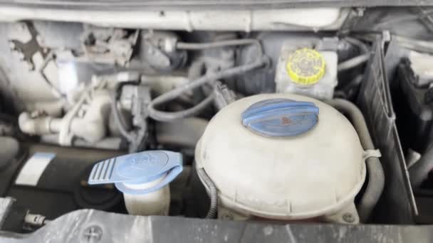Детальний Вигляд Двигуна Автомобіля Відкритим Капотом Показує Складну Інженерію Машини — стокове відео