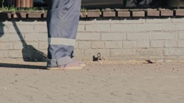 Kamu hizmetlerinden bir hademe sabah parkta süpürgeyle çöpleri temizliyor. Kentte kamu hizmetleri tarafından temizliğin sürdürülmesi.