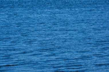 Mavi nehir suyunun dokusu büyüleyici derecede akışkandır ve dinamiktir. Küçük dalgalar ya da girdaplar yüzeyi rahatsız eder. Diğer türlü sakin alana hafif bir hareket dokusu eklenir..