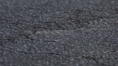 Sert asfalt yol yüzeyinin yakın görüntüsü. Doku detaylıdır, küçük taşlar ve çatlaklar vurgulanır. Görüntü, asfaltın sert ve dengesiz doğasını yakalıyor.