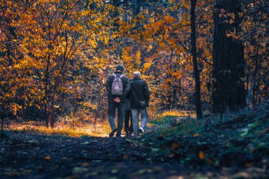 Huzurlu bir sonbahar sahnesinde, iki birey turuncu ve sarı yaprakların canlı gölgeleriyle dolu güzel renkli bir ormanda yürürken birlikte sakin bir şekilde gezinirler.