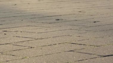 Dokulu asfaltın yakın plan çekimi, sıcak ışıkla aydınlatılan eşsiz desenlerini gözler önüne seriyor. Şehir fotoğrafçılığı ve tasarımı için ideal hale getiriyor. Keşifleri davet ediyor ve yaratıcı bir zemin görevi görüyor.