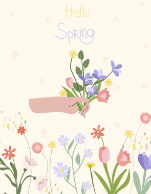 A hand holding a bright bouquet of wildflowers and the inscription Hello spring. Spring flowering. Concept of holiday, joy, happiness. Vector graphics. Minimalist Vector illustration