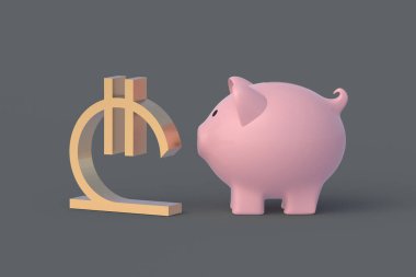 Kumbaranın yanındaki Lari sembolü. Bütçe kavramı. Gürcistan rezervi. Para birimi enflasyonu. Para biriktiriyorum. Sadaka ve bağış. Para değişimi. Finansal yardımlar. 3d hazırlayıcı