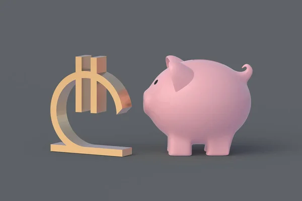 Lari Symbol Piggy Bank Budget Concept Georgian Reserve Currency Inflation — Stock Photo, Image