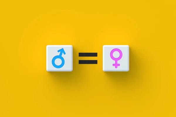 Gender symbols on cubes near equal sign. Gender equality concept. Male and female solidarity. Rights of men and women. 3d render