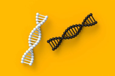 Turuncu arka planda iki DNA yapısı var. Spiral molekül modeli. Genetik biyo-teknoloji. Tıbbi yenilik teknolojisi. Genom evrimi. 3d hazırlayıcı