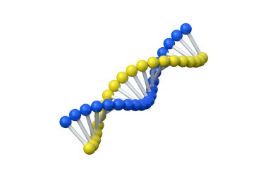 Beyaz arka planda DNA izole edildi. 3d hazırlayıcı