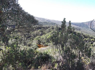 Ağacı ve dağı olan güzel bir manzara.