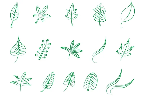 Набор Простых Плоских Зеленых Листьев Хорошо Любого Проекта — стоковый вектор
