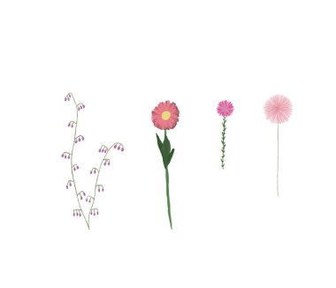 Bir çift güzel çiçek çizilmiş. Her proje için iyidir..