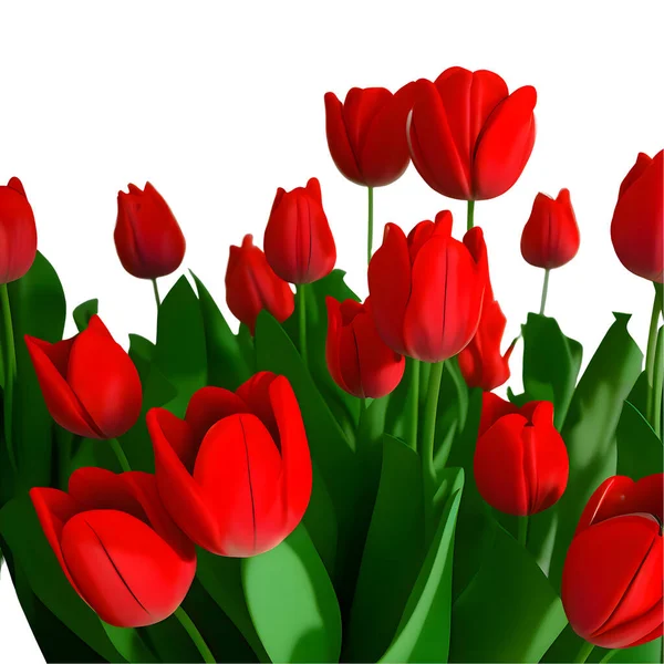 Red tulips with realistic vibrant colors with petals and lush green leaves
