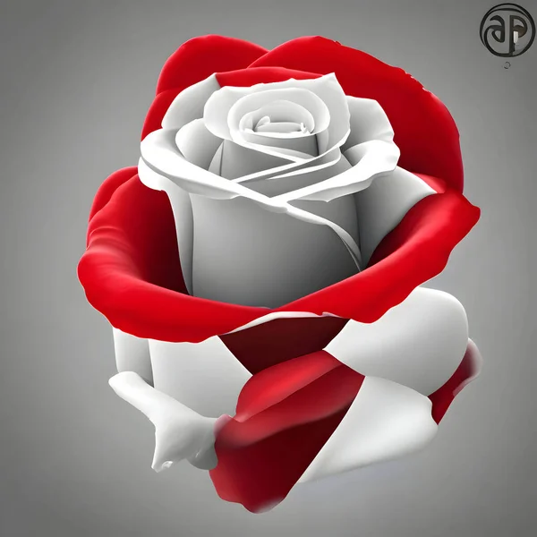 高质量的3D红白相间的玫瑰 叶绿如茵 容光焕发 — 图库照片