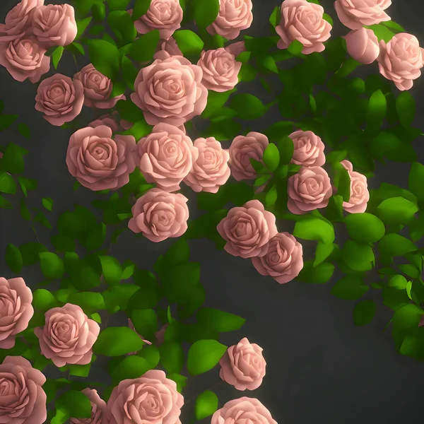 Розовые Розы Фоне Зеленых Листьев — стоковое фото