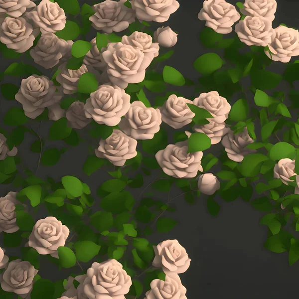 Schöne Rosa Und Weiße Rosen Mit Grünen Blättern Hintergrund — Stockfoto
