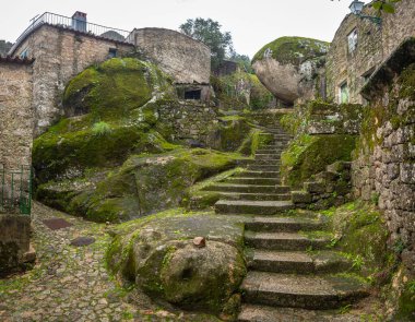 Portekiz 'in Monsanto köyündeki sokakların güzelliği 