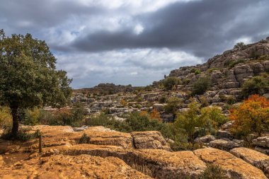 Alışılmadık manzaralarıyla bilinen 