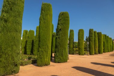 Alcazar de los Reyes Cristianos Bahçeleri, Alcazar Andalusi ve Müzesi, Cordoba, İspanya
