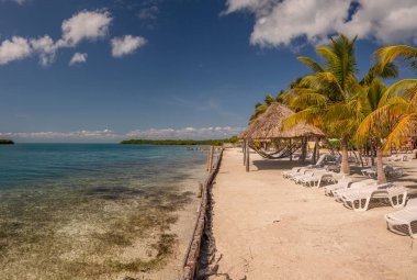 Belize Adası 'nda yapılan teşhir, bu güzel Karayip adası Belize' deki bitki örtüsünü ve palapaları güzel bir deniz rengiyle gösteriyor..