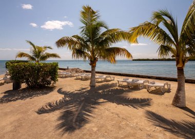 Belize Adası 'nda yapılan teşhir, bu güzel Karayip adası Belize' deki bitki örtüsünü ve palapaları güzel bir deniz rengiyle gösteriyor..