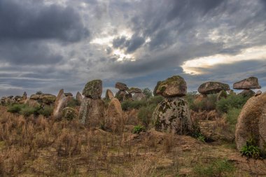 Çok bulutlu bir günde Portekiz 'de Castelo Branco yakınlarında modern Menhir teşhirciliği yapıldı. Menhir ile yolumuza tasarımcı ve peyzaj mimarı olarak başladık..