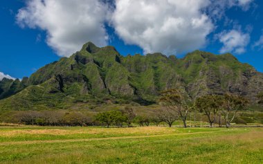 Kualoa Bölgesel Parkı 'nda yapılan teşhir, Mokolii adasını, daha yaygın olarak Çin Adası Şapkası olarak adlandırılan Oahu Adası, Hawaii' de, Jurassic Park 'ın çekildiği yer olarak bilinen Kuala Çiftliği' ne çok yakın bir yerde..
