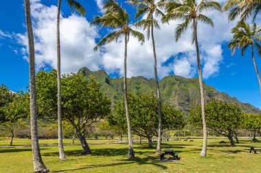 Kualoa Bölgesel Parkı 'nda yapılan teşhir, Mokolii adasını, daha yaygın olarak Çin Adası Şapkası olarak adlandırılan Oahu Adası, Hawaii' de, Jurassic Park 'ın çekildiği yer olarak bilinen Kuala Çiftliği' ne çok yakın bir yerde..