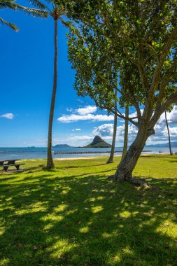 Kualoa Bölgesel Parkı 'nda yapılan teşhir, Mokolii adasını, daha yaygın olarak Çin Adası Şapkası olarak adlandırılan Oahu Adası, Hawaii' de, Jurassic Park 'ın çekildiği yer olarak bilinen Kuala Çiftliği' ne çok yakın bir yerde..