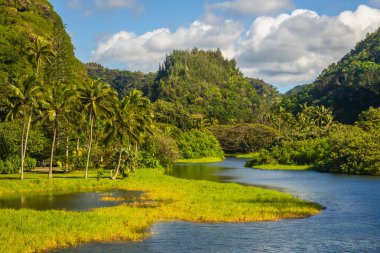 Oahu adasının doğu kıyısı boyunca güzel Hawaii denizi, kıyı ve dağları görünüyor.