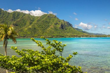 Oahu adasının doğu kıyısı boyunca güzel Hawaii denizi, kıyı ve dağları görünüyor.