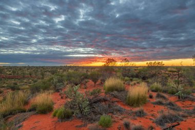 Gündoğumu: Uluru, Kuzey Toprakları, Avustralya 'da Ayers Kayası olarak da bilinir..