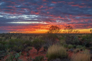 Gündoğumu: Uluru, Kuzey Toprakları, Avustralya 'da Ayers Kayası olarak da bilinir..
