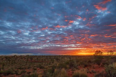 Gündoğumu: Uluru, Kuzey Toprakları, Avustralya 'da Ayers Kayası olarak da bilinir..