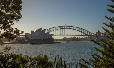 Sidney şehir merkezinden alınan ve genel olarak 