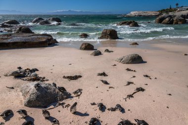 Boulders Sahili, nam-ı diğer Boulders Körfezi. Penguenlerin görülebildiği tek Afrika plajı olduğu için popüler bir yer..
