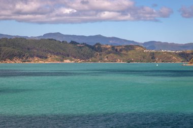 Wellington Limanı 'ndaki güzel su renginin görüntüsü Cook Boğazı' nı geçtikten ve Wellington 'a tekneyle varıp Pencarrow Head, Yeni Zelanda' yı geçmeden önce....