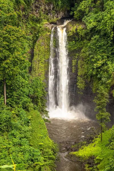 Güçlü Sopoaga Şelalesi Lotofaga Köyü, Samoa 'da yağmur ormanlarıyla çevrili..