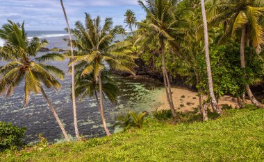Lotofaga yakınlarındaki adanın güney kıyısında Samoa 'nın inanılmaz kıyı şeridine maruz kalmışlar.