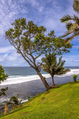 Lotofaga yakınlarındaki adanın güney kıyısında Samoa 'nın inanılmaz kıyı şeridine maruz kalmışlar.