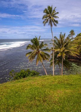 Lotofaga yakınlarındaki adanın güney kıyısında Samoa 'nın inanılmaz kıyı şeridine maruz kalmışlar.