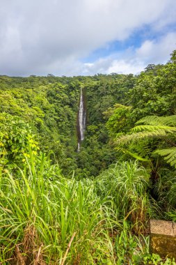 Papapaitai Şelalesinin etrafı yağmur ormanlarıyla çevrili Lotofaga Köyü, Samoa.