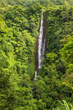 Papapaitai Şelalesinin etrafı yağmur ormanlarıyla çevrili Lotofaga Köyü, Samoa.