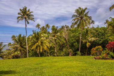 Lotofaga yakınlarındaki adanın güney kıyısında Samoa 'nın inanılmaz kıyı şeridine maruz kalmışlar.