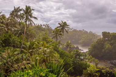 Lotofaga yakınlarındaki adanın güney kıyısında Samoa 'nın inanılmaz kıyı şeridine maruz kalmışlar.