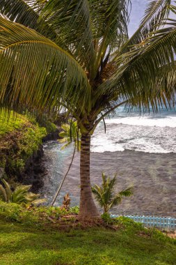 Lotofaga yakınlarındaki adanın güney kıyısında Samoa 'nın inanılmaz kıyı şeridine maruz kalmışlar.