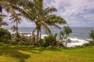 Lotofaga yakınlarındaki adanın güney kıyısında Samoa 'nın inanılmaz kıyı şeridine maruz kalmışlar.