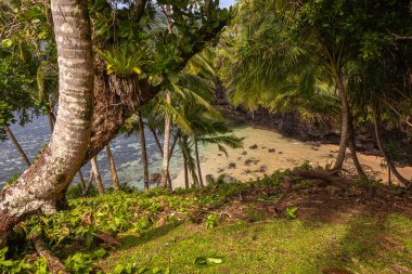 Lotofaga yakınlarındaki adanın güney kıyısında Samoa 'nın inanılmaz kıyı şeridine maruz kalmışlar.