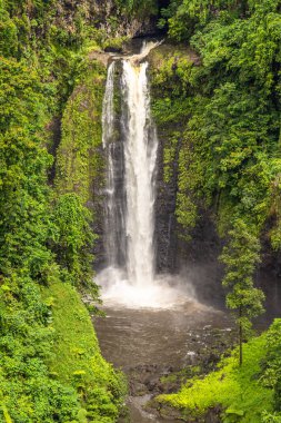 Güçlü Sopoaga Şelalesi Lotofaga Köyü, Samoa 'da yağmur ormanlarıyla çevrili..