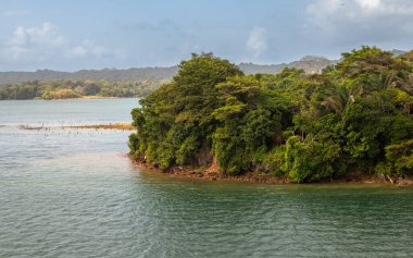 Gatun Gölü kıyıları boyunca bulunan biyolojik çeşitliliğe maruz kalmak, Panama Kanalı 'nın büyük bir bölümü olan Colon, Panama' nın güneyinde bulunan tatlı su yapay gölü.